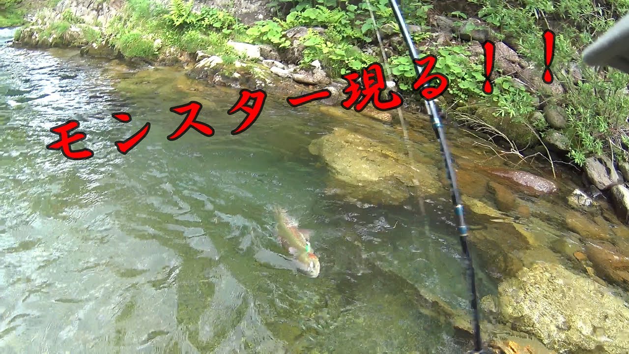 モンスター ！！【銀山平釣行vol.11】