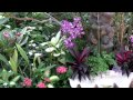 α7RII 4K Video(1) Full size mode: 温室 Greenhouse