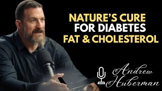 Eat THIS 1 Food & Regain Leg Strength in Just 12 Hours (Backed by Science) | Andrew Huberman