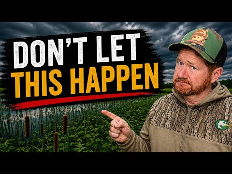 These Plants Can Cost You Ducks.