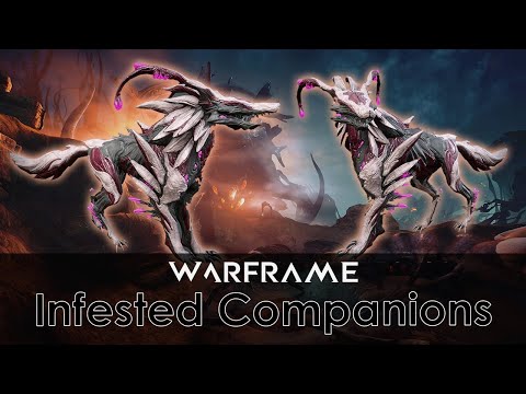 Warframe - How to Make Infested Companions