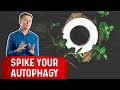 Enhance Autophagy with Coffee and Herbs