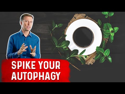 Enhance Autophagy with Coffee and Herbs
