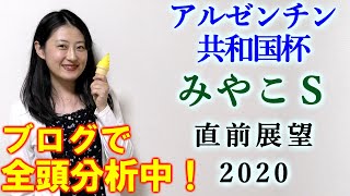 【競馬】アルゼンチン共和国杯 みやこS 直前展望 (アルゼンチン共和国杯の全頭分析はブログで！) ヨーコヨソー