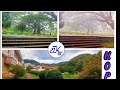 UPDN | Perdeniya University of Sri Lanka| Beauti of Pera