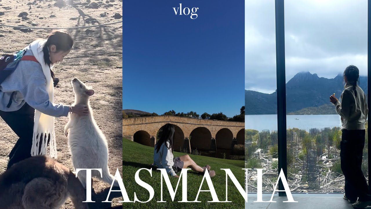 solo in tasmania 🦘 road trips, bruny island, cradle mountain, meeting wombat & devil 一個人不自駕去塔斯曼尼亞