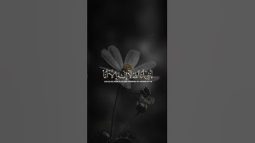 #تلاوة_خاشعة #اجمل_حالات_واتس_اب #القرآن_الكريم #احترم_القران