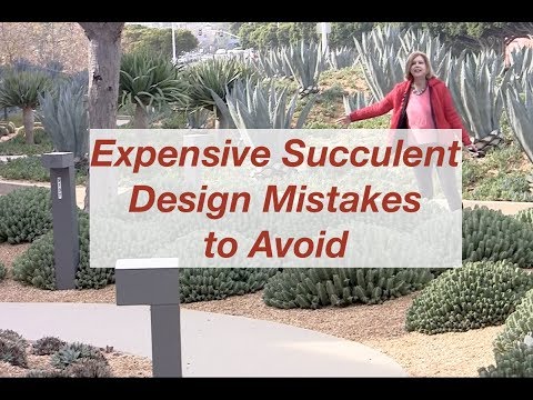 What Goes Well With Succulents In Landscapes?