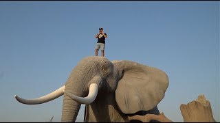 MY NEW PET ELEPHANT IN DUBAI!!!