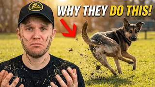 The REAL Reason Why Your Dog Covers Up Their 💩 (Not What You Think!)