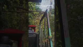 Lucknow zoo #zoo #lucknow #viral #indianexplorers #tranding #love #nature #reel #travelvideo #art