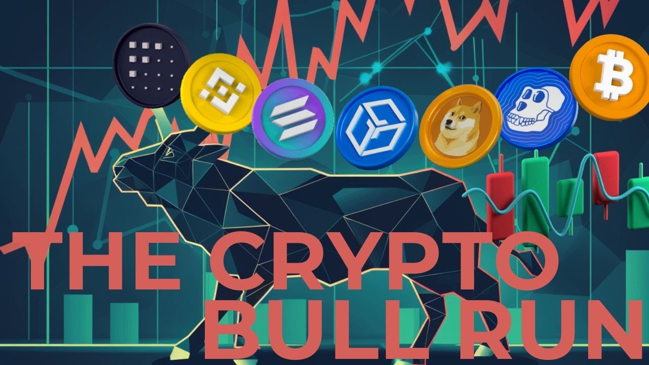 What is a Bull? | The Crypto Bull Run - YouTube