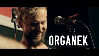 ORGANEK "Italiano" / otwARTa scena Live