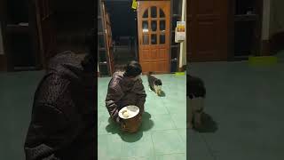 Tae Khayphet Eat rice with boiled egg #funny #video #ครอบครัว