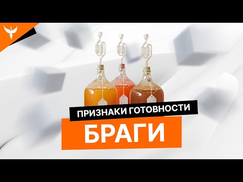 Признаки готовности сахарной браги. Как определить, что брага готова?