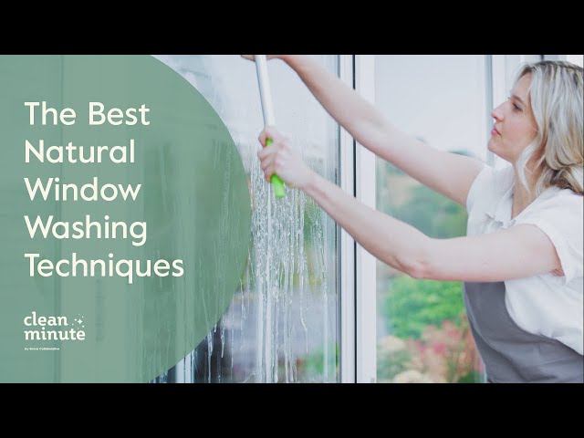 Window Washing: Useful Tips and Tricks