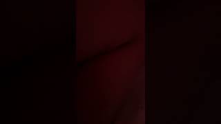 Rotina Da Manhã Parte 1