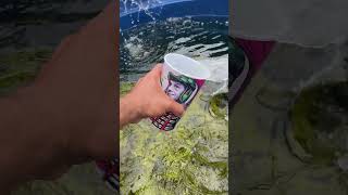 Como regular o pH da água do tanque de peixes #lagos #peixe