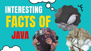 SECRETS of #javasparrow More Eggs & Chicks