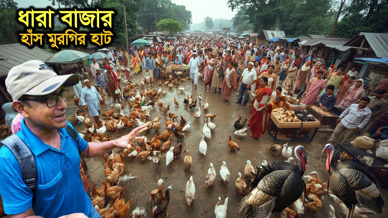 শরতের মেঘলা দিনে জমজমাট হাঁস মুরগির হাট🦆 ধারা বাজার| Traditional duck and poultry market