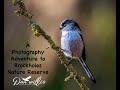 Photography Adventure Brockholes