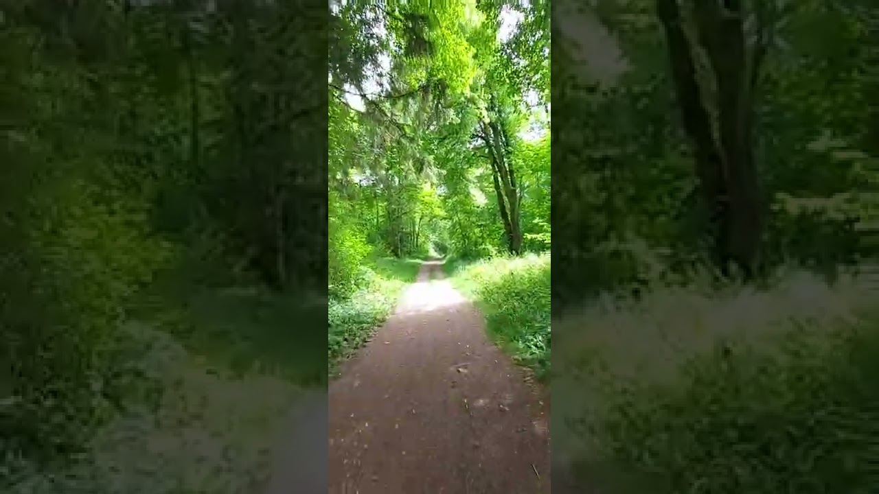 De la Pyla à l'abbaye d'Hauterive (26.05.2022)