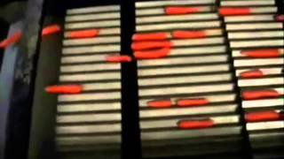 WYMA - Vibrating Length Sizer - Carrots