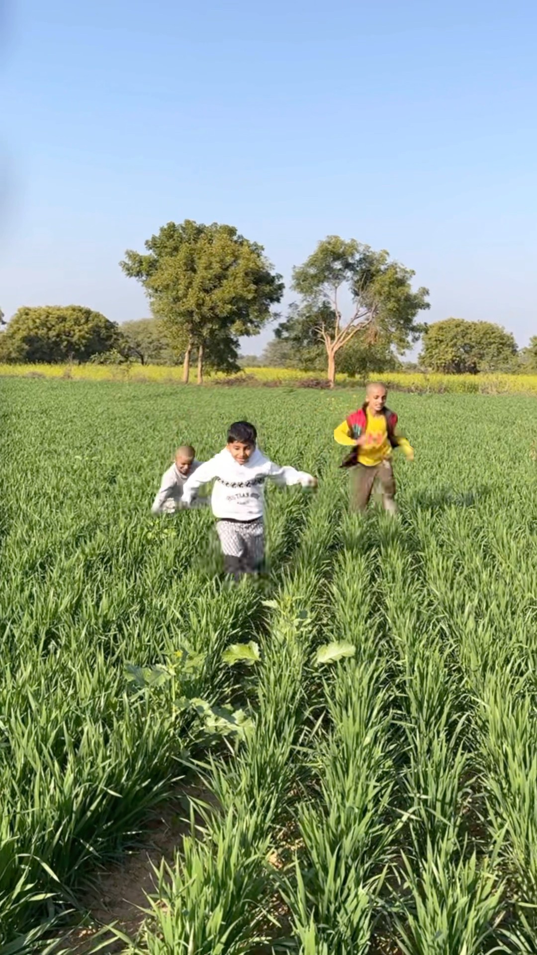 Apna khet vs dooshron ka khet???