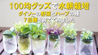 [For Seniors] Gardening activities that add enjoyment to daily life: from sowing seeds and watering to viewing and harvesting