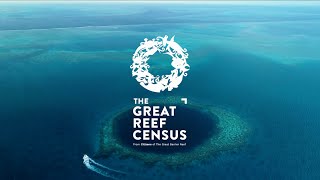 The Great Reef Census