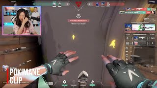 Pokimanes 1 Dollar Mic Warning