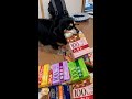昼食に迷ったら犬占いに限る