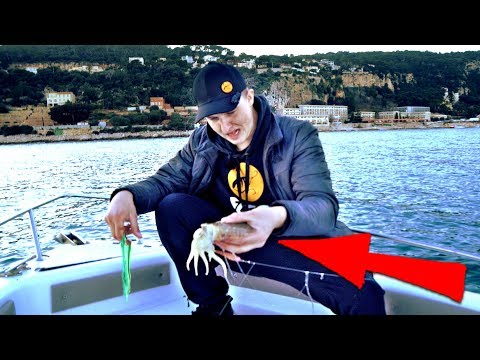Video: Wie Man Tintenfische Fängt