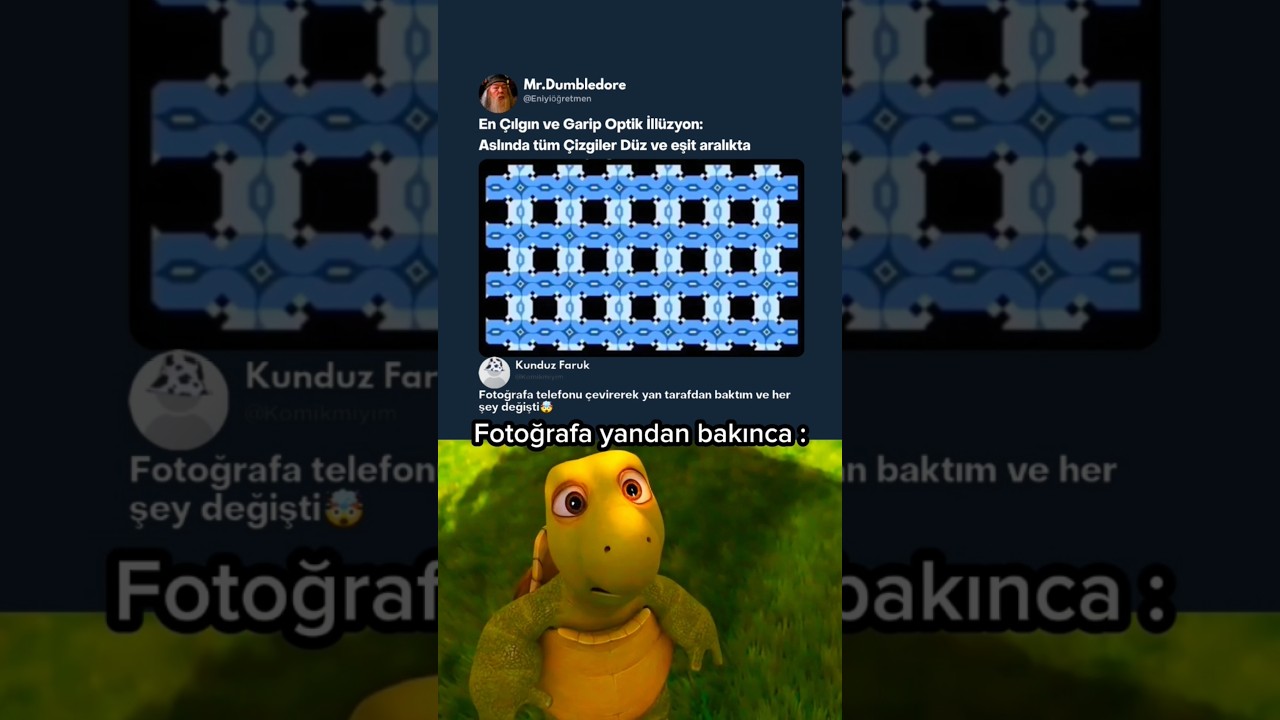Galiba Herkesin Gözleri Bozuk 👀