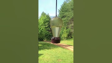 Slow motion hummingbird