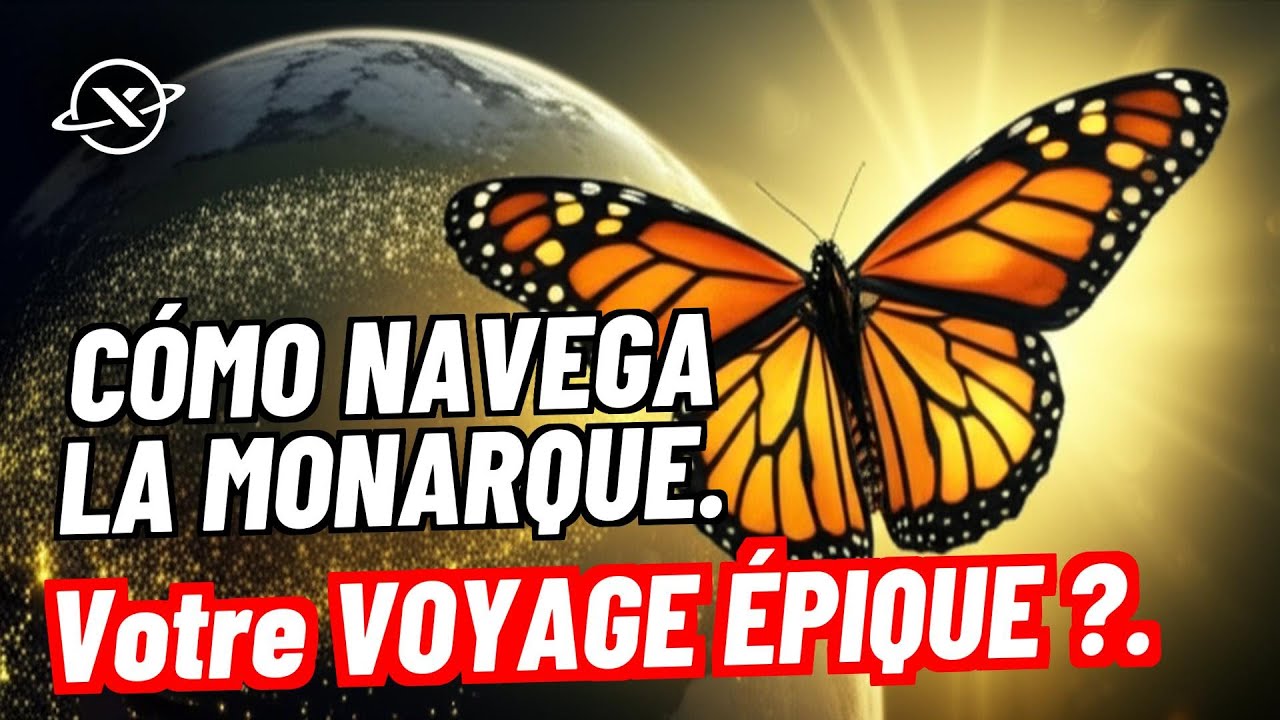 🦋 Comment le PAPILLON MONARQUE réussit-il sa MIGRATION ÉPIQUE ? 🍁