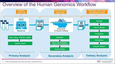 Moving Genomics to the Cloud: Compute and Storage Considerations
