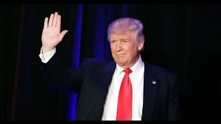 Trumps Biggest Post-Election Lie I Won The Popular Vote