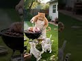 funny video 🤣🤣 #viralvideo 🤣#shortvideo
