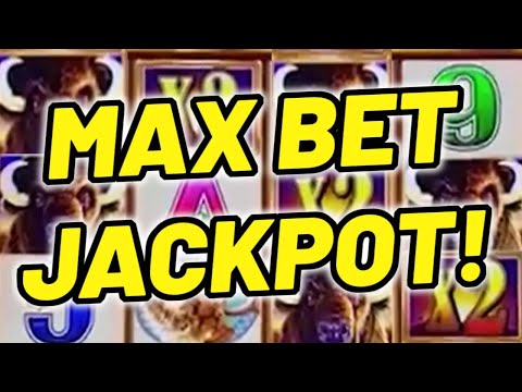 🚨 MASSIVE HANDPAY ALERT!!!🚨 MAX BET BUFFALO REVLOUTION MEGA JACKPOT!