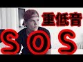 [重低音強化] Avicii feat. Aloe Blacc - SOS