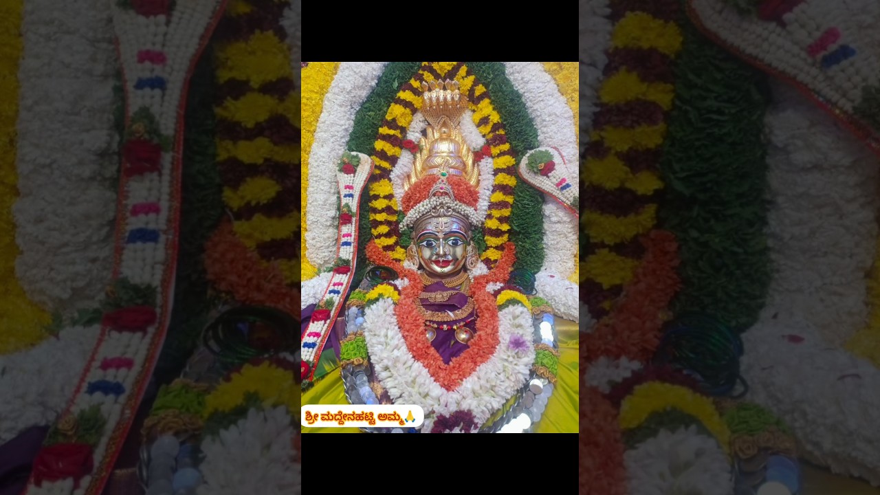 ಮಹಾಶಿವರಾತ್ರಿ ಹಬ್ಬದ ಪ್ರಯುಕ್ತ ಅಮ್ಮನವರ ವಿಶೇಷ ಅಲಂಕಾರ🙏