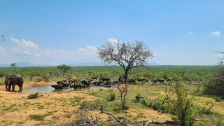 Imagine Africa Luxury Tented Camp Waterhole