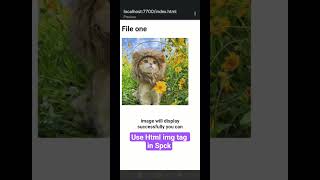How to Add & Use Images in SPCK App | Insert Images in HTML (Mobile Coding Tutorial)