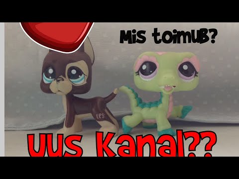 Video: Mis Siis, Kui Olete 