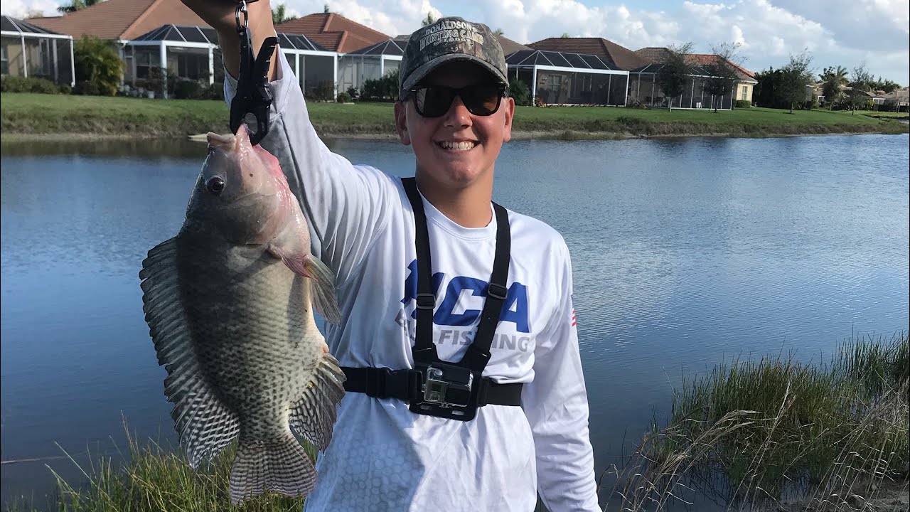 GIANT ALBINO TILAPIA - YouTube