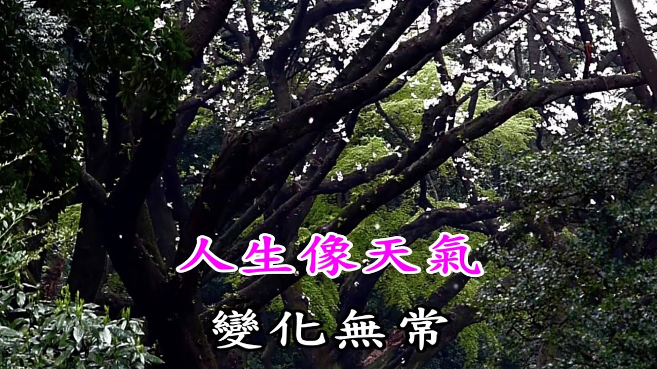 林姍笑談人生KTV - YouTube