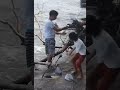 Catching fish #viral #viralvideo