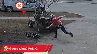 PANIC Mode Activated! 😂 Funny Everyday Disasters