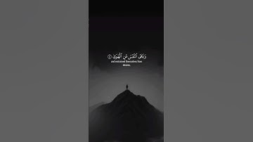 اكتب شيء تؤجر عليه 😴💚 قران كريم | إسلام صبحي